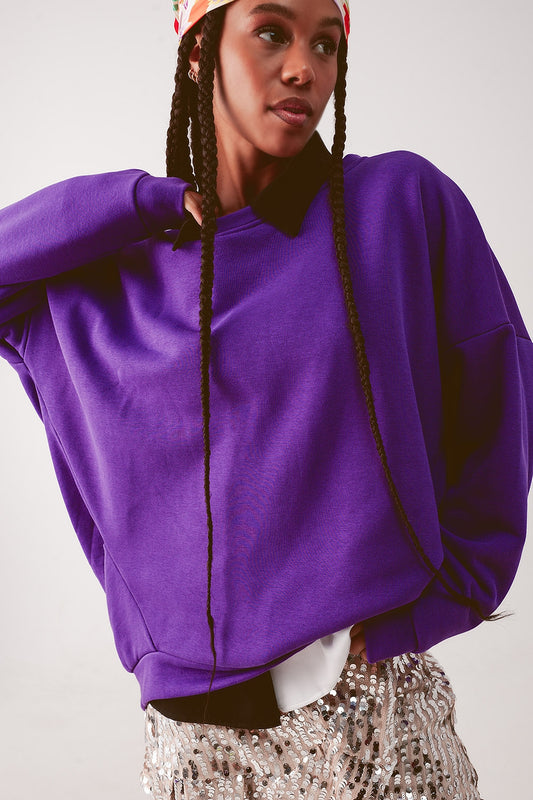 Oversized Sweatshirt In Purple